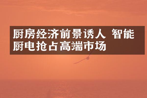 厨房经济前景诱人 智能化厨电抢占高端市场