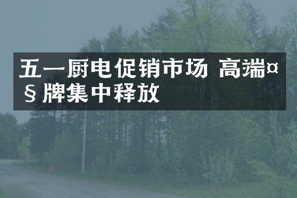 五一厨电促销市场 高端大牌集中释放