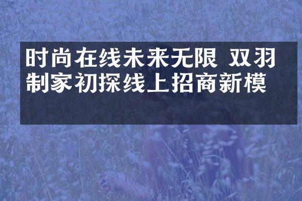 时尚在线未来无限 双羽定制家初探线上招商新模式