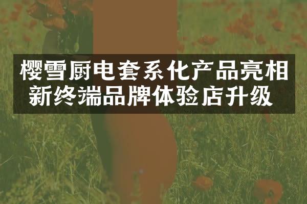 樱雪厨电套系化产品亮相 新终端品牌体验店升级
