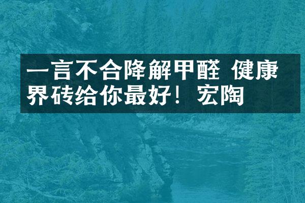 一言不合降解甲醛 健康净界砖给你最好！宏陶
