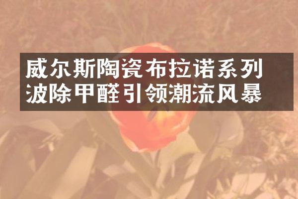 威尔斯陶瓷布拉诺系列 光波除甲醛引领潮流风暴