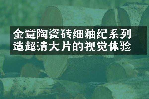 金意陶瓷砖细釉纪系列 打造超清大片的视觉体验