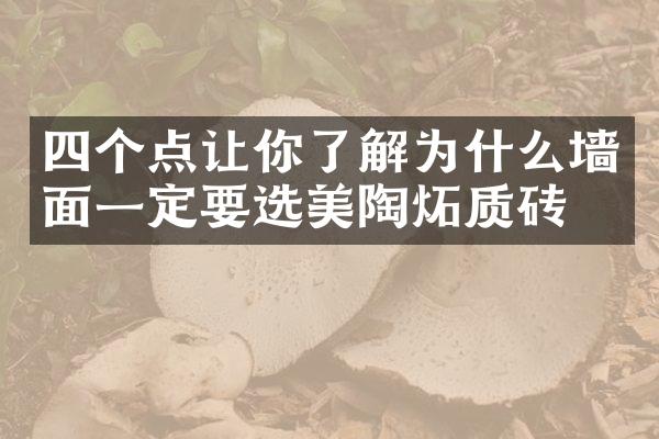 四个点让你了解为什么墙面一定要选美陶炻质砖