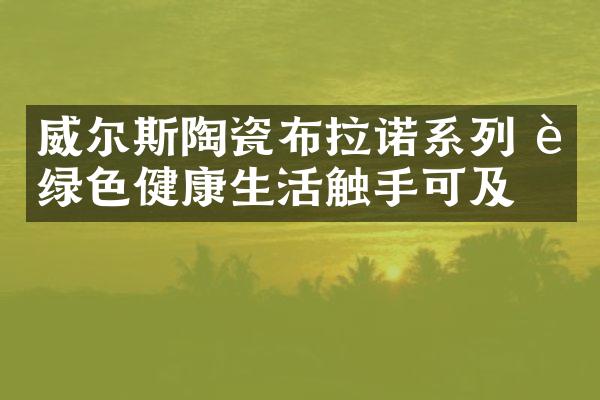 威尔斯陶瓷布拉诺系列 让绿色健康生活触手可及
