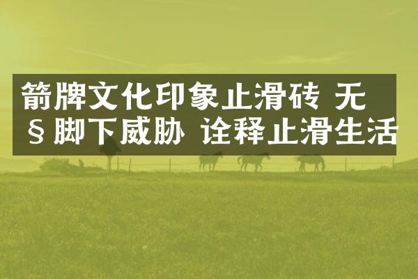 箭牌文化印象止滑砖 无惧脚下威胁 诠释止滑生活