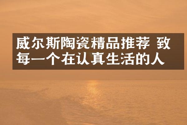 威尔斯陶瓷精品推荐 致敬每一个在认真生活的人