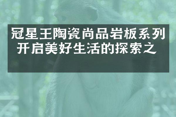 冠星王陶瓷尚品岩板系列 开启美好生活的探索之旅