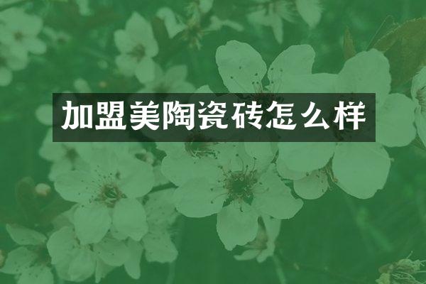 加盟美陶瓷砖怎么样