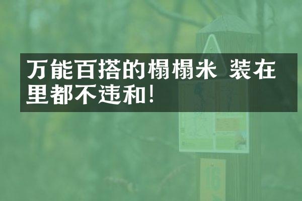 万能百搭的榻榻米 装在哪里都不违和！