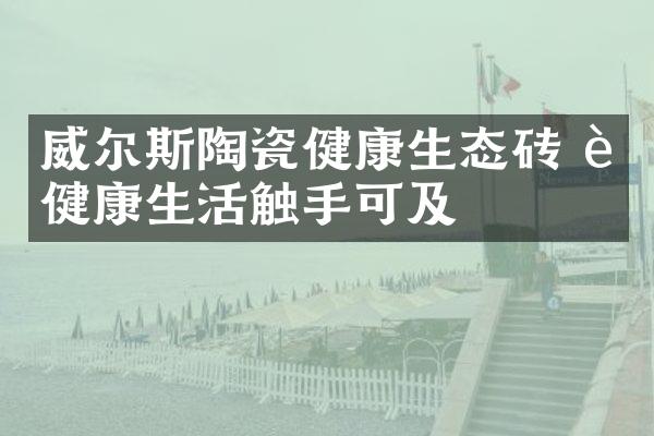 威尔斯陶瓷健康生态砖 让健康生活触手可及
