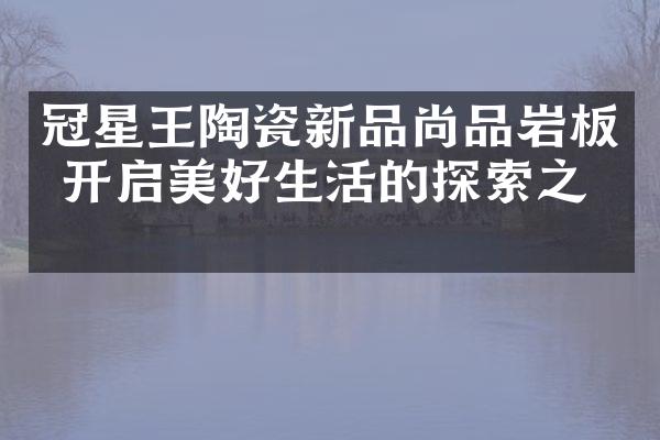冠星王陶瓷新品尚品岩板 开启美好生活的探索之旅