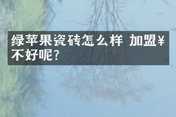 绿苹果瓷砖怎么样 加盟好不好呢？