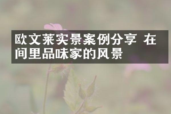 欧文莱实景案例分享 在时间里品味家的风景