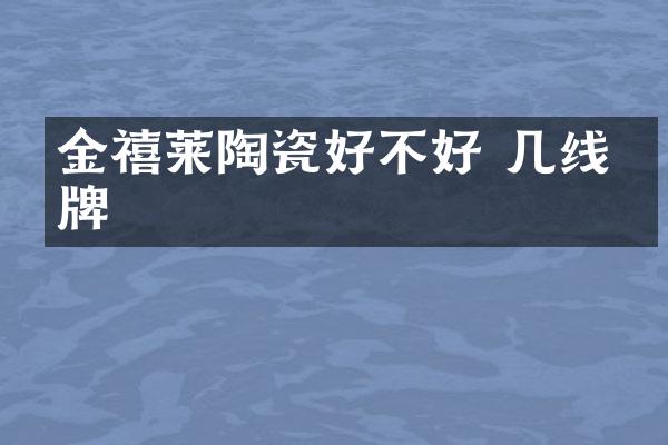 金禧莱陶瓷好不好 几线品牌