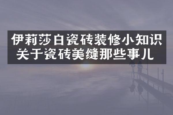 伊莉莎白瓷砖装修小知识 关于瓷砖美缝那些事儿