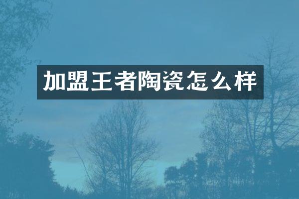 加盟王者陶瓷怎么样
