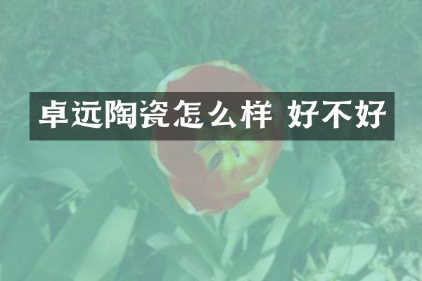 卓远陶瓷怎么样 好不好