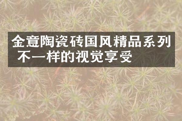 金意陶瓷砖国风精品系列 不一样的视觉享受