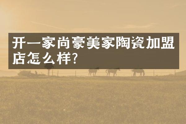 开一家尚豪美家陶瓷加盟店怎么样？