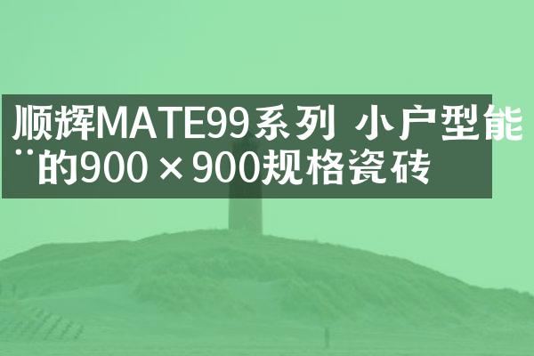 顺辉MATE99系列 小户型能用的900×900规格瓷砖