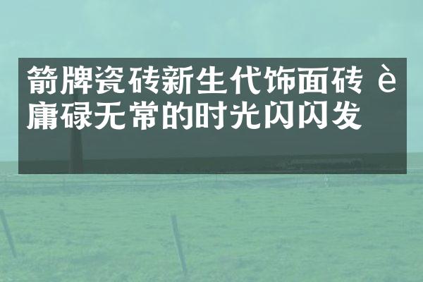 箭牌瓷砖新生代饰面砖 让庸碌无常的时光闪闪发亮