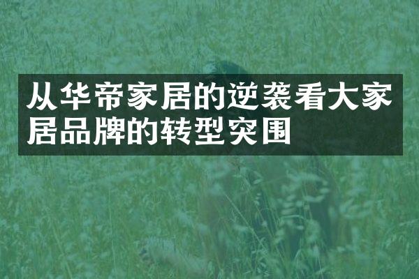 从华帝家居的逆袭看大家居品牌的转型突围