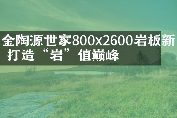 金陶源世家800x2600岩板新品 打造“岩”值巅峰