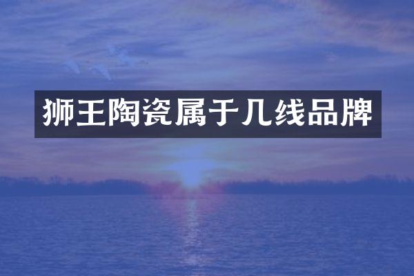 狮王陶瓷属于几线品牌