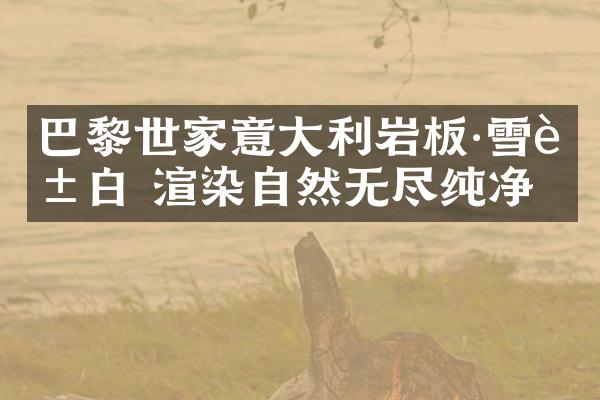 巴黎世家意大利岩板·雪花白 渲染自然无尽纯净