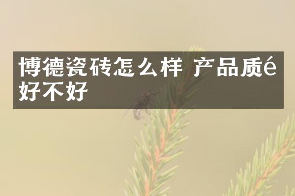 博德瓷砖怎么样 产品质量好不好