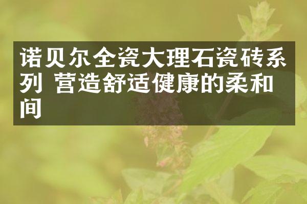 诺贝尔全瓷大理石瓷砖系列 营造舒适健康的柔和空间