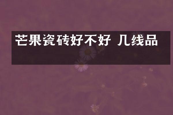 芒果瓷砖好不好 几线品牌