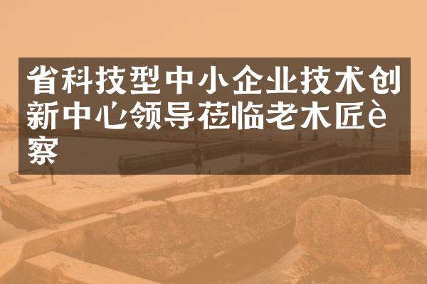 省科技型中小企业技术创新中心领导莅临老木匠考察