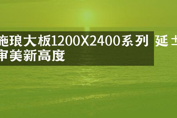施琅大板1200X2400系列 延展审美新高度