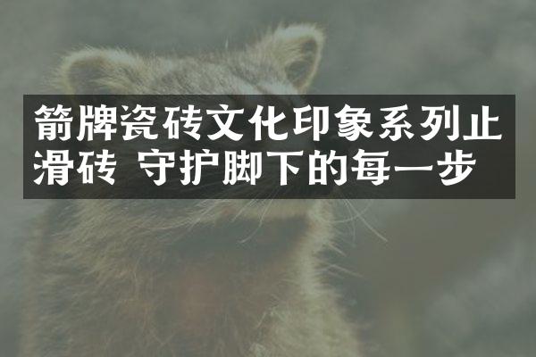 箭牌瓷砖文化印象系列止滑砖 守护脚下的每一步