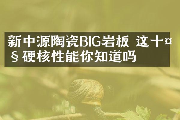 新中源陶瓷BIG岩板 这十大硬核性能你知道吗