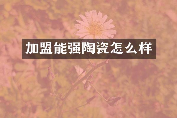 加盟能强陶瓷怎么样