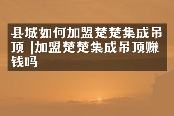 县城如何加盟楚楚集成吊顶 |加盟楚楚集成吊顶赚钱吗