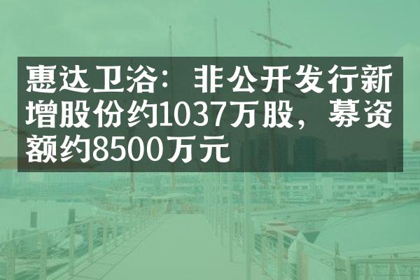 惠达卫浴：非公开发行新增股份约1037万股，募资总额约8500万元