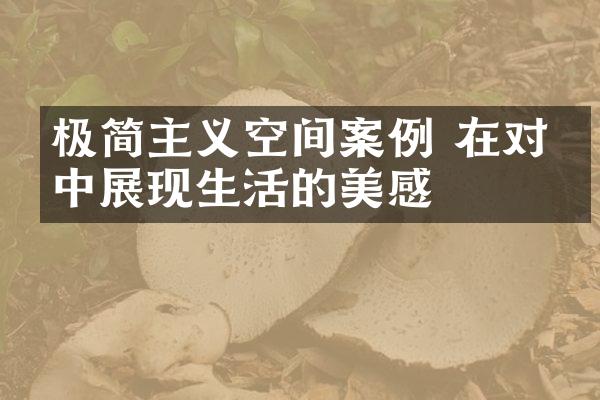 极简主义空间案例 在对比中展现生活的美感