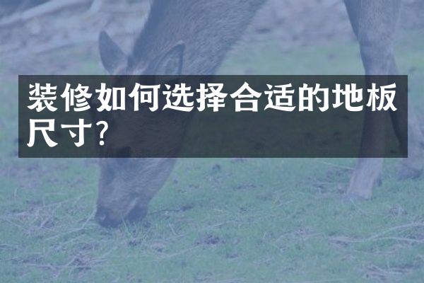 装修如何选择合适的地板尺寸？