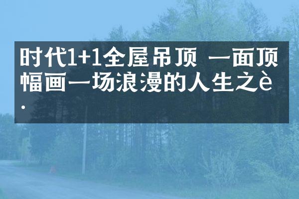 时代1+1全屋吊顶 一面顶一幅画一场浪漫的人生之路