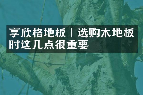 享欣格地板︱选购木地板时这几点很重要