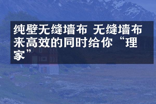 纯壁无缝墙布 无缝墙布带来高效的同时给你“理想家”
