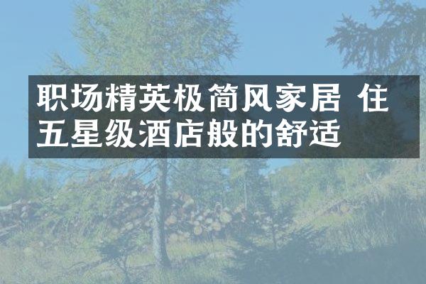 职场精英极简风家居 住出五星级酒店般的舒适