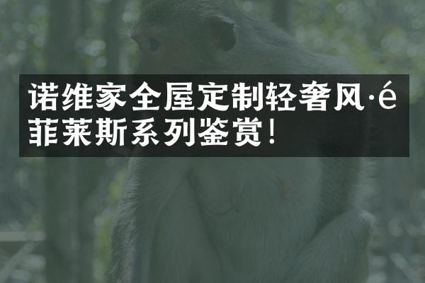 诺维家全屋定制轻奢风·铂菲莱斯系列鉴赏！