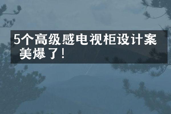 5个高级感电视柜设计案例 美爆了！