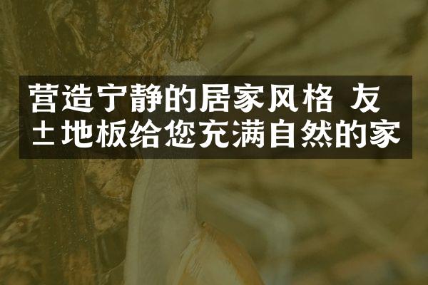营造宁静的居家风格 友爱地板给您充满自然的家