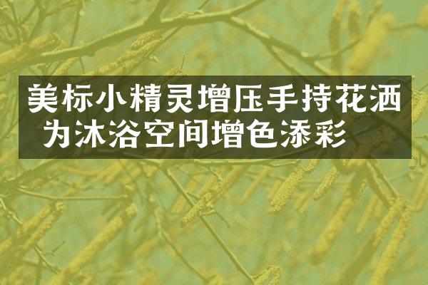 美标小精灵增压手持花洒 为沐浴空间增色添彩